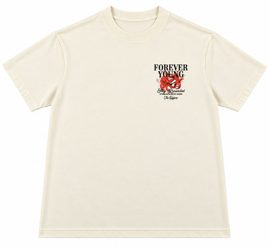 STAY GROUNDED HEAVYWEIGHT TEE- CREAM/RED